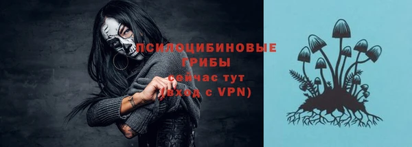 apvp Михайловка