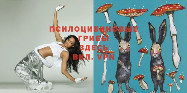 apvp Михайловка